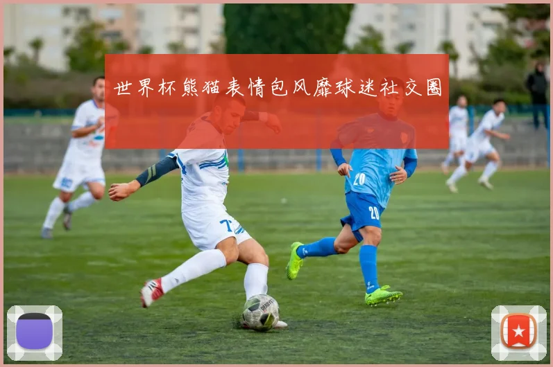 世界杯熊猫表情包风靡球迷社交圈
