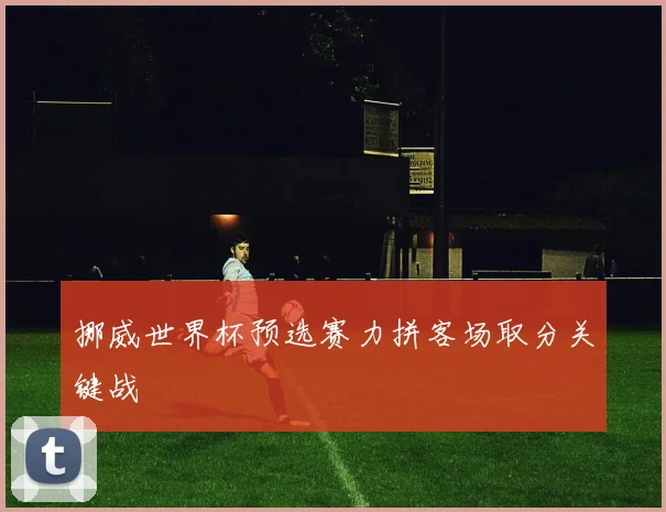 挪威世界杯预选赛力拼客场取分关键战