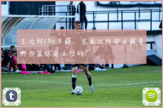 王治郅cba年薪，究竟几何背后藏着哪些篮球商业密码？