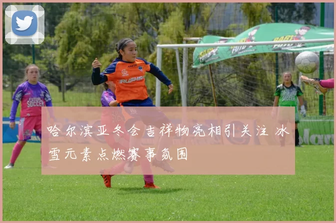 哈尔滨亚冬会吉祥物亮相引关注 冰雪元素点燃赛事氛围